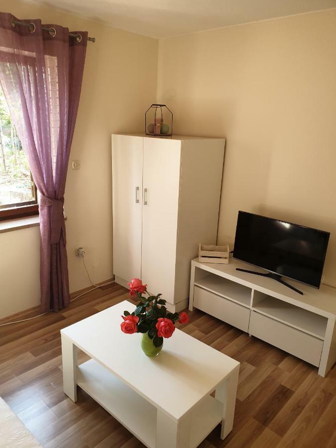 Studio Airport Dubrovnik Cilipi Bagian luar foto